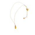 𝑴𝒊𝒏𝒊 𝑷𝒊𝒏𝒆𝒂𝒑𝒑𝒍𝒆 𝑵𝒆𝒄𝒌𝒍𝒂𝒄𝒆