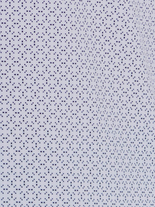 WHITE/BLUE