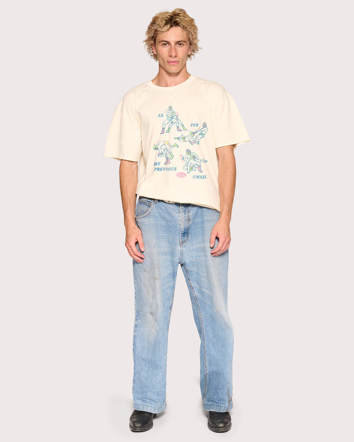 As Per My Last Email Natural T-Shirt