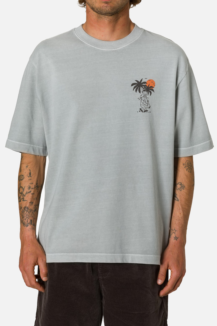 #color_neutral gray