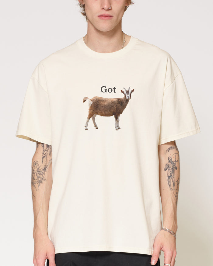 Got T-Shirt