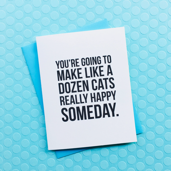 Dozen Cats TF006