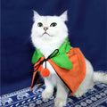 Halloween Pumpkin Cape and hat for dogs and cats
