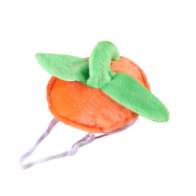 Halloween Pumpkin Cape and hat for dogs and cats