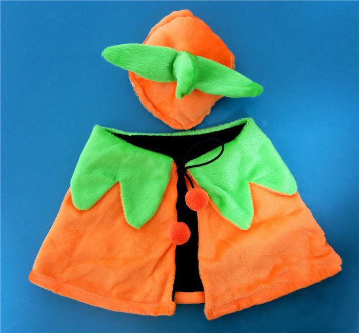 Halloween Pumpkin Cape and hat for dogs and cats