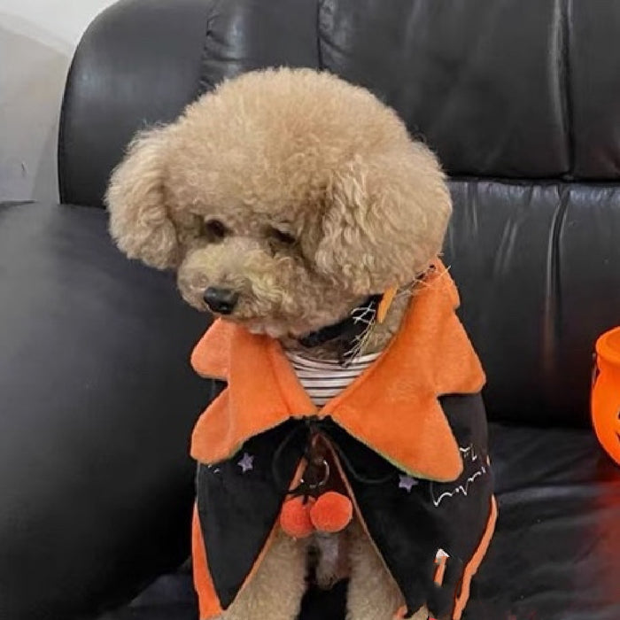 Halloween Pumpkin Cape and hat for dogs and cats