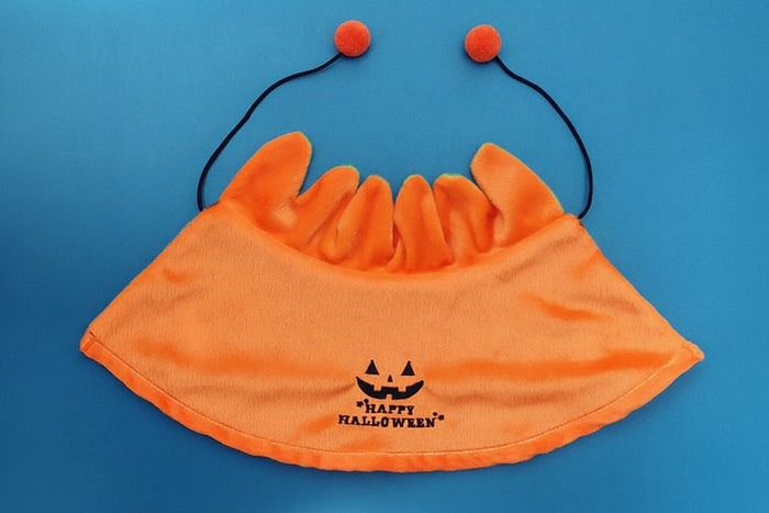 Halloween Pumpkin Cape and hat for dogs and cats