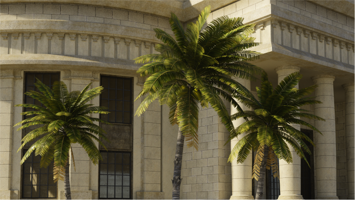 Havana Nights