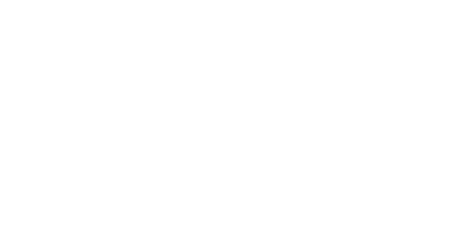 Havana Nights