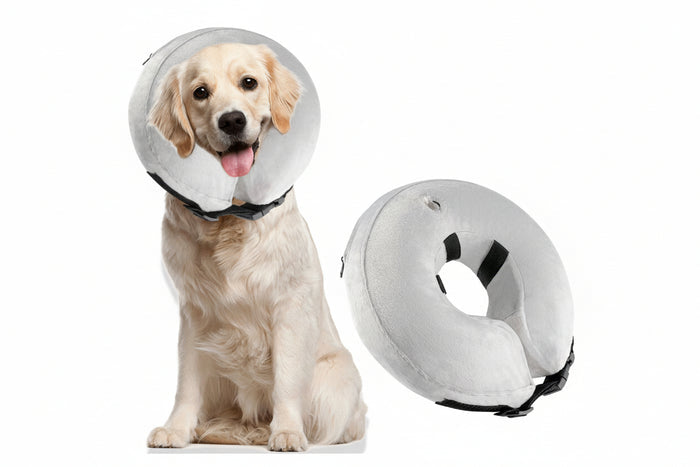 Inflatable Collars for Pets