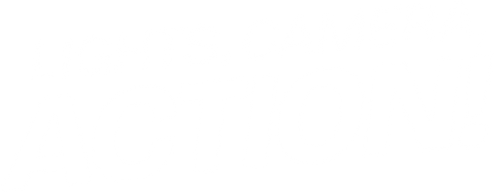 Lights, Camera, Action!