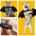 Luminous Bat Wings Costume
