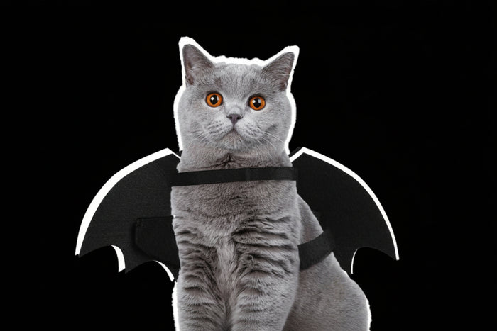 Luminous Bat Wings Costume
