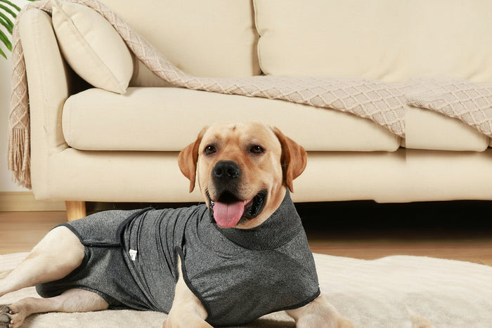 Medical Pet-T-Shirt Post Surgery