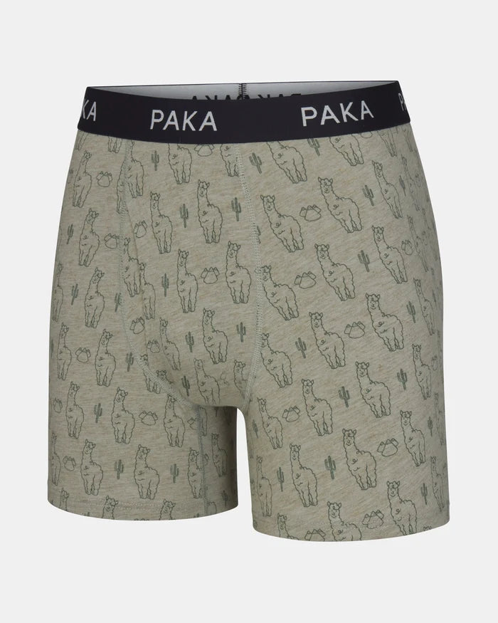 Men's Essential Printed Boxer Brief