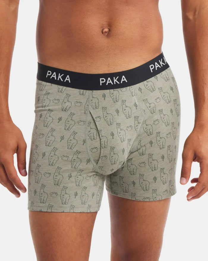 Men's Essential Printed Boxer Brief