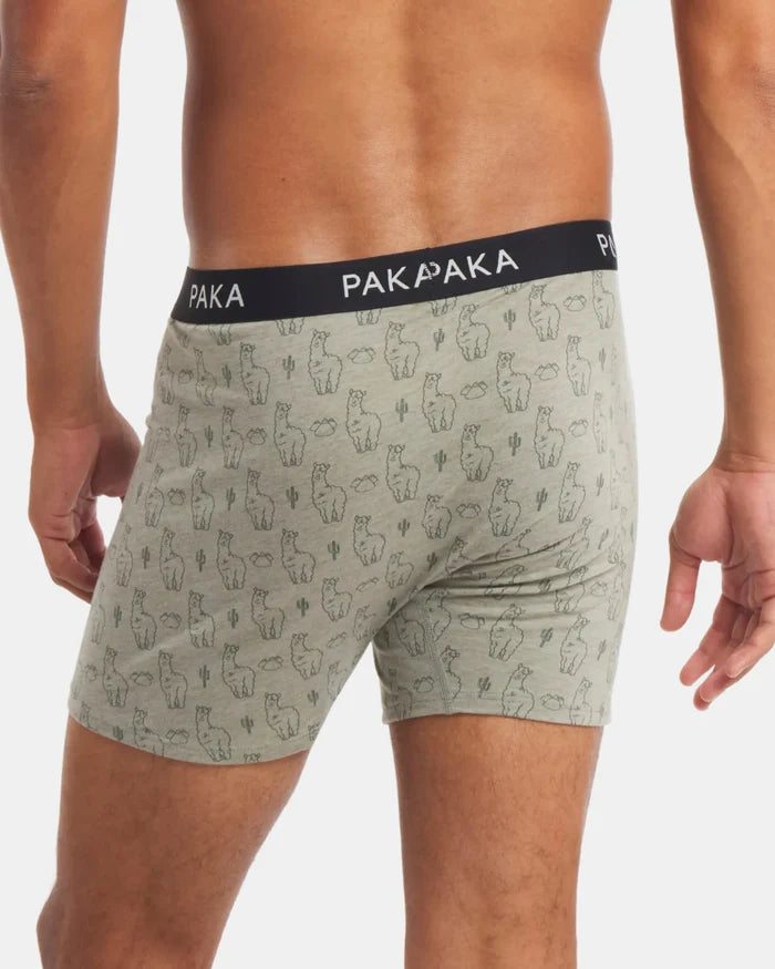 Men's Essential Printed Boxer Brief
