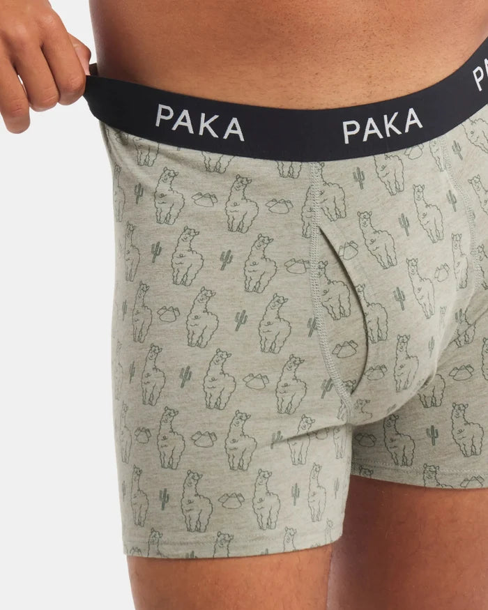 Men's Essential Printed Boxer Brief