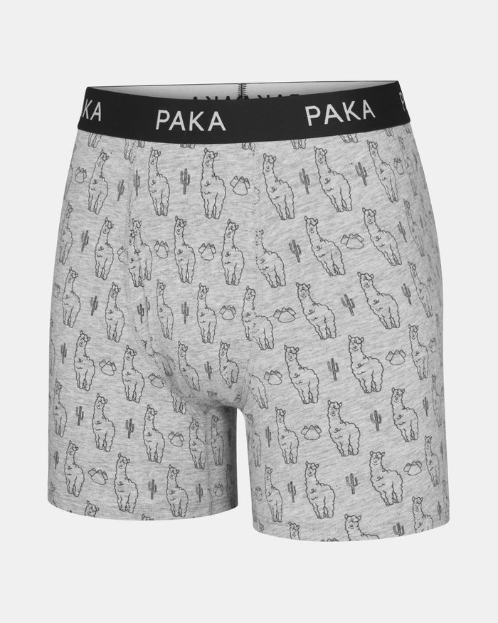 Men's Essential Printed Boxer Brief