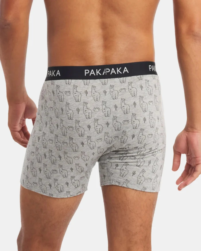 Men's Essential Printed Boxer Brief