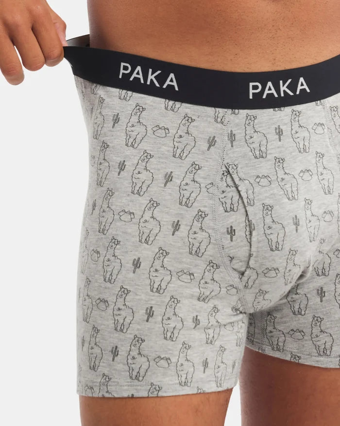 Men's Essential Printed Boxer Brief