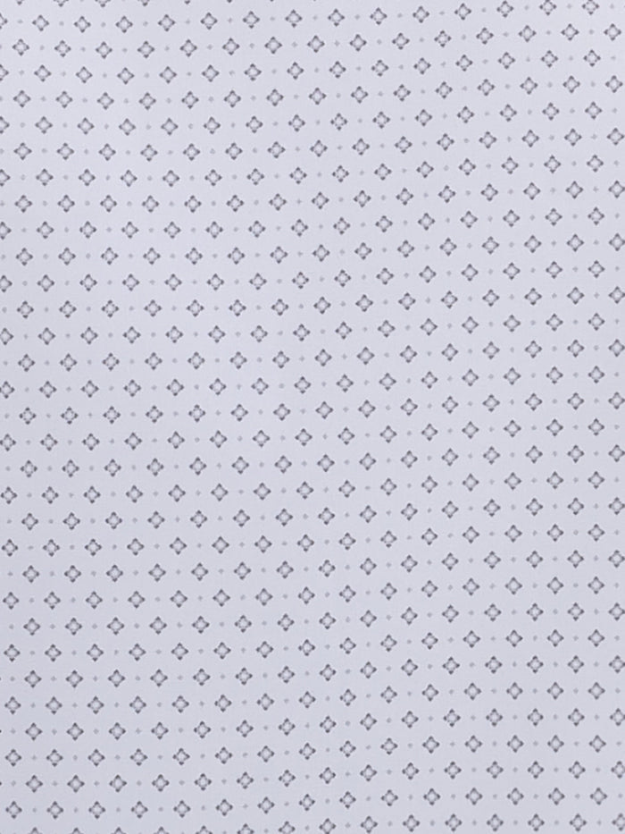WHITE/SILVER