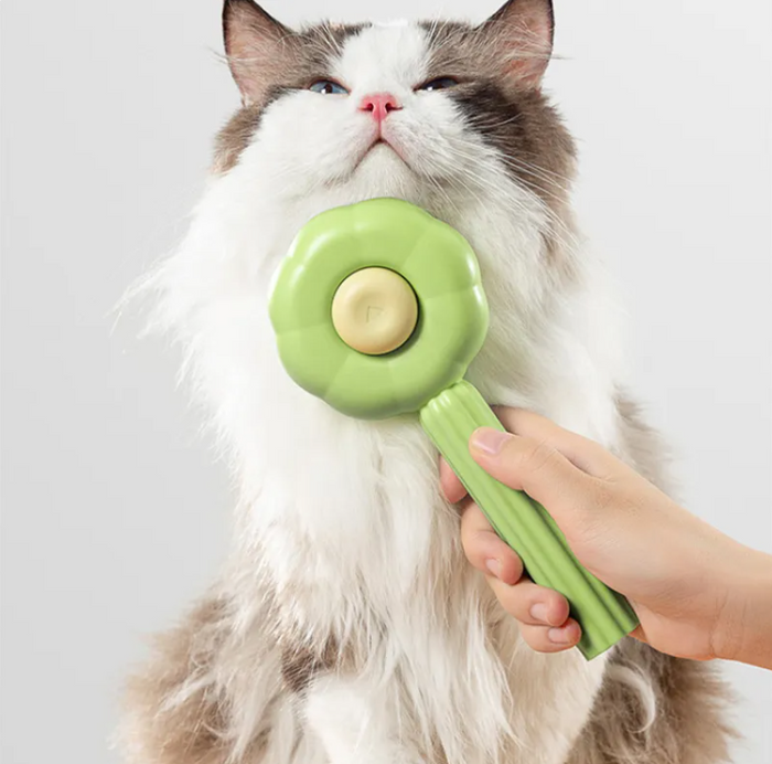 Pet Grooming Brush