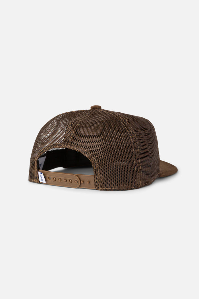#color_brown