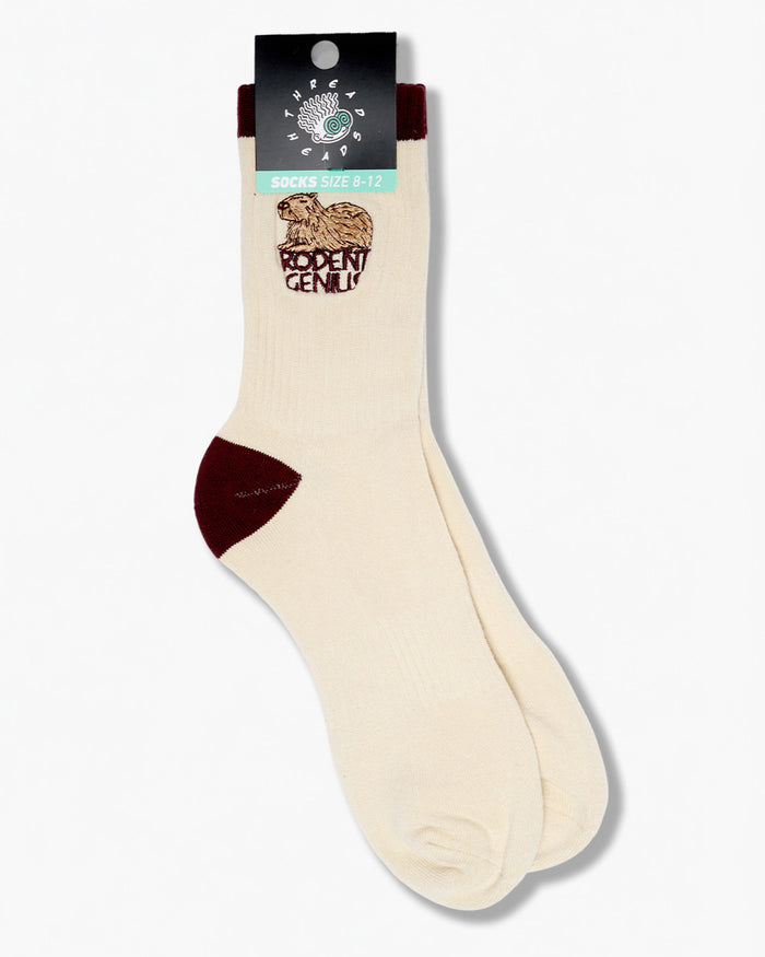 Rodent Genius Socks