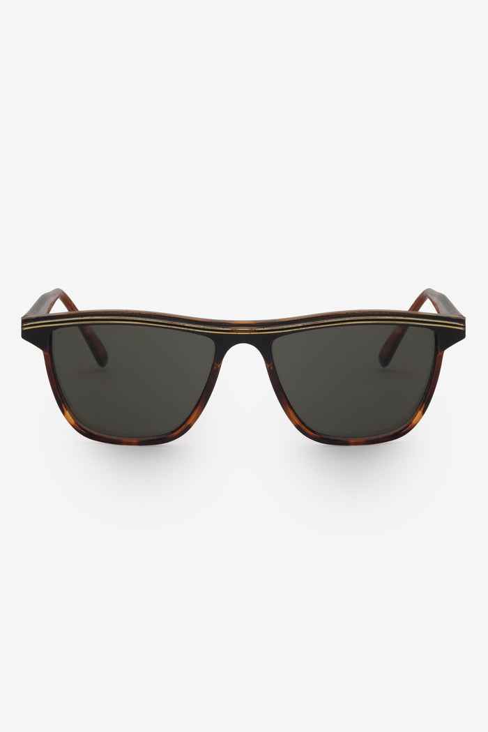 SGVN170 - Wayfarer Sunglasses