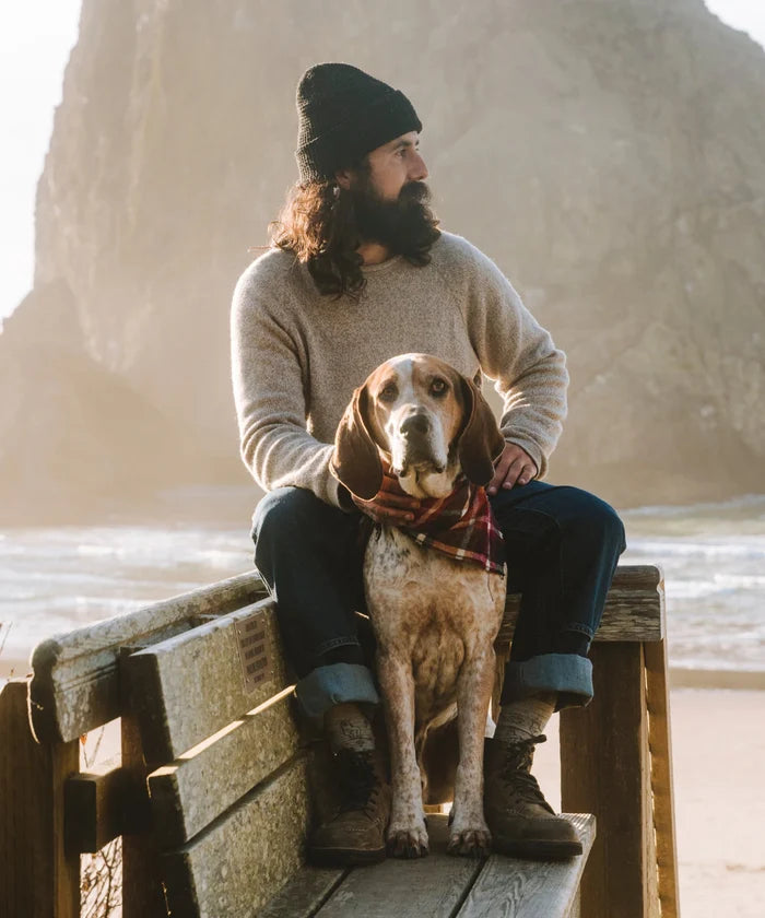 Man wearing Timber Cusco alpaca-merino sweater in a relaxed fit sitting on a bench at the beach with a dog