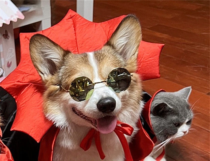 Vampire King Halloween Cape for cats and dogs
